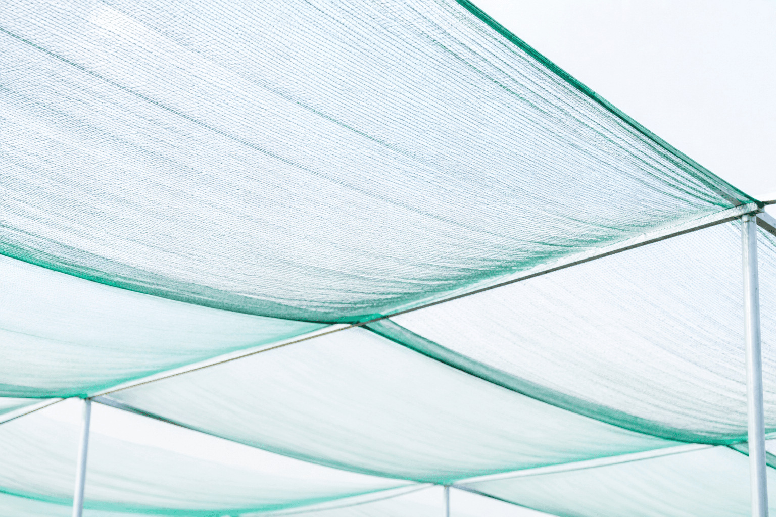 Shade Net