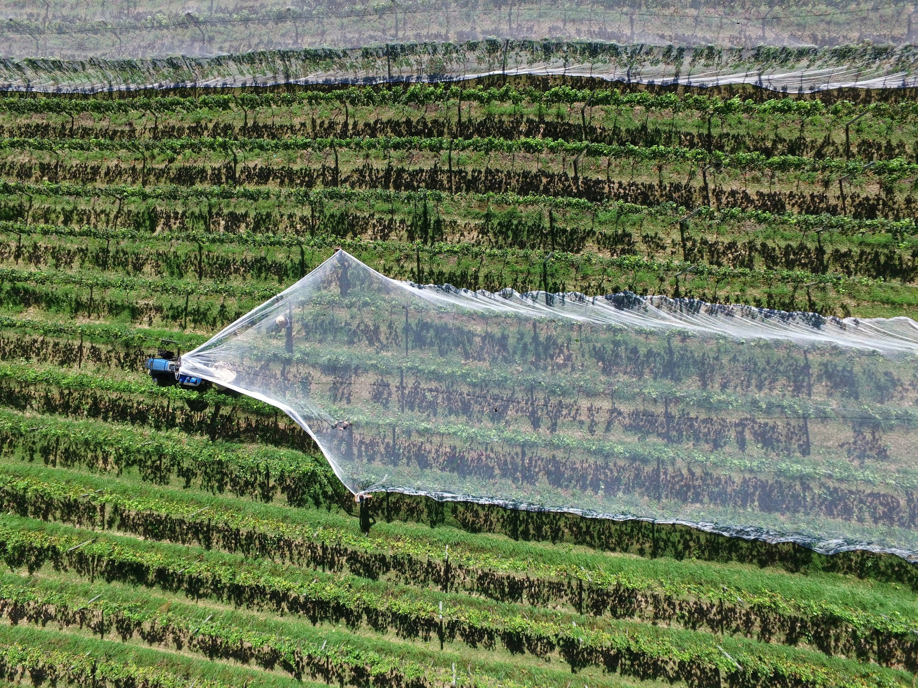 Agriculture Shade Net