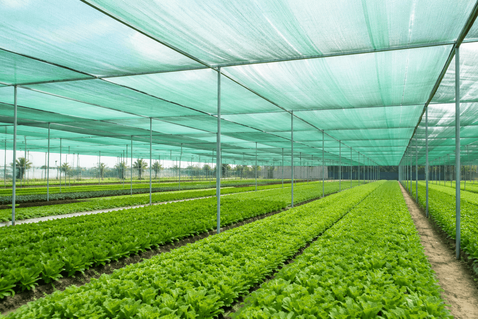 Nursery Shade Net