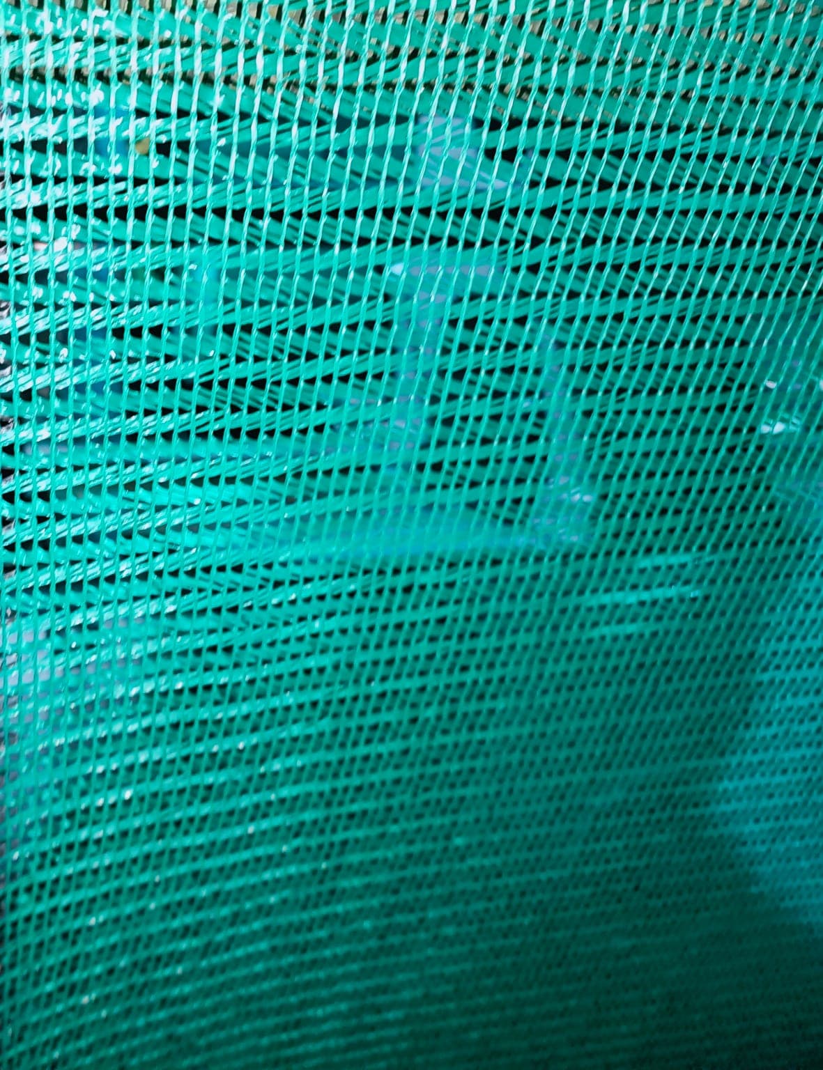 50% Shade Net