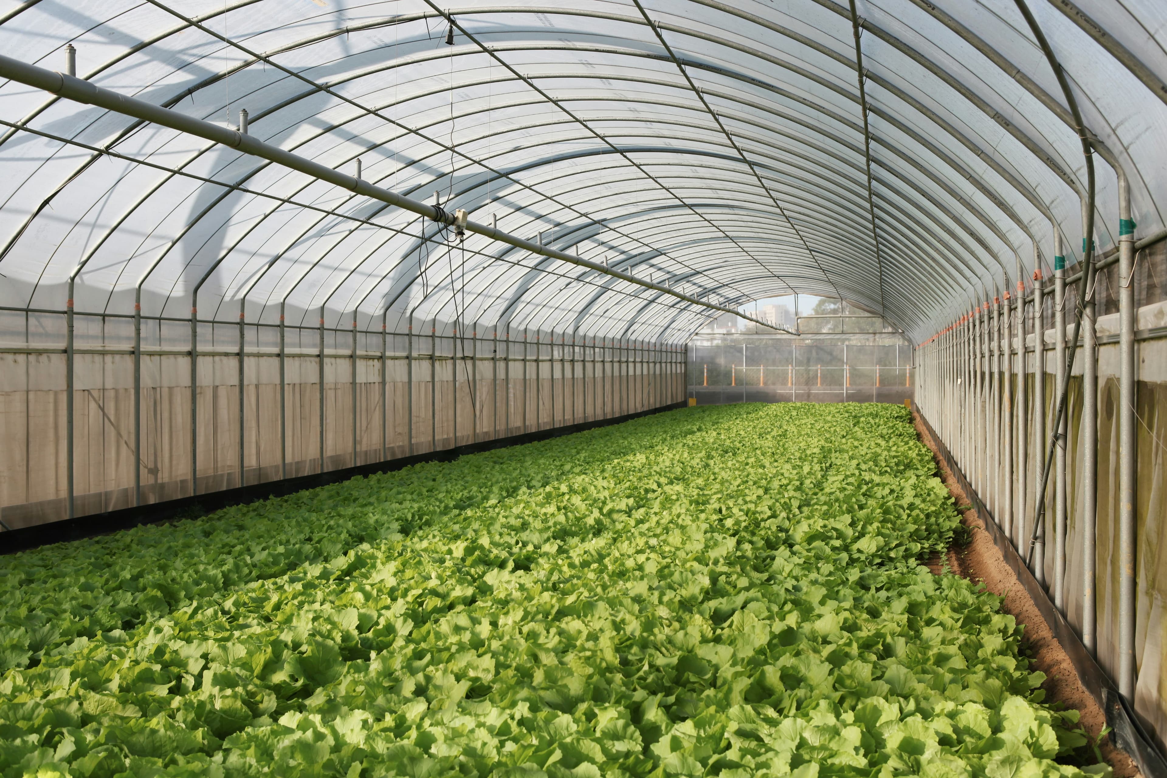 Greenhouse Shade Net