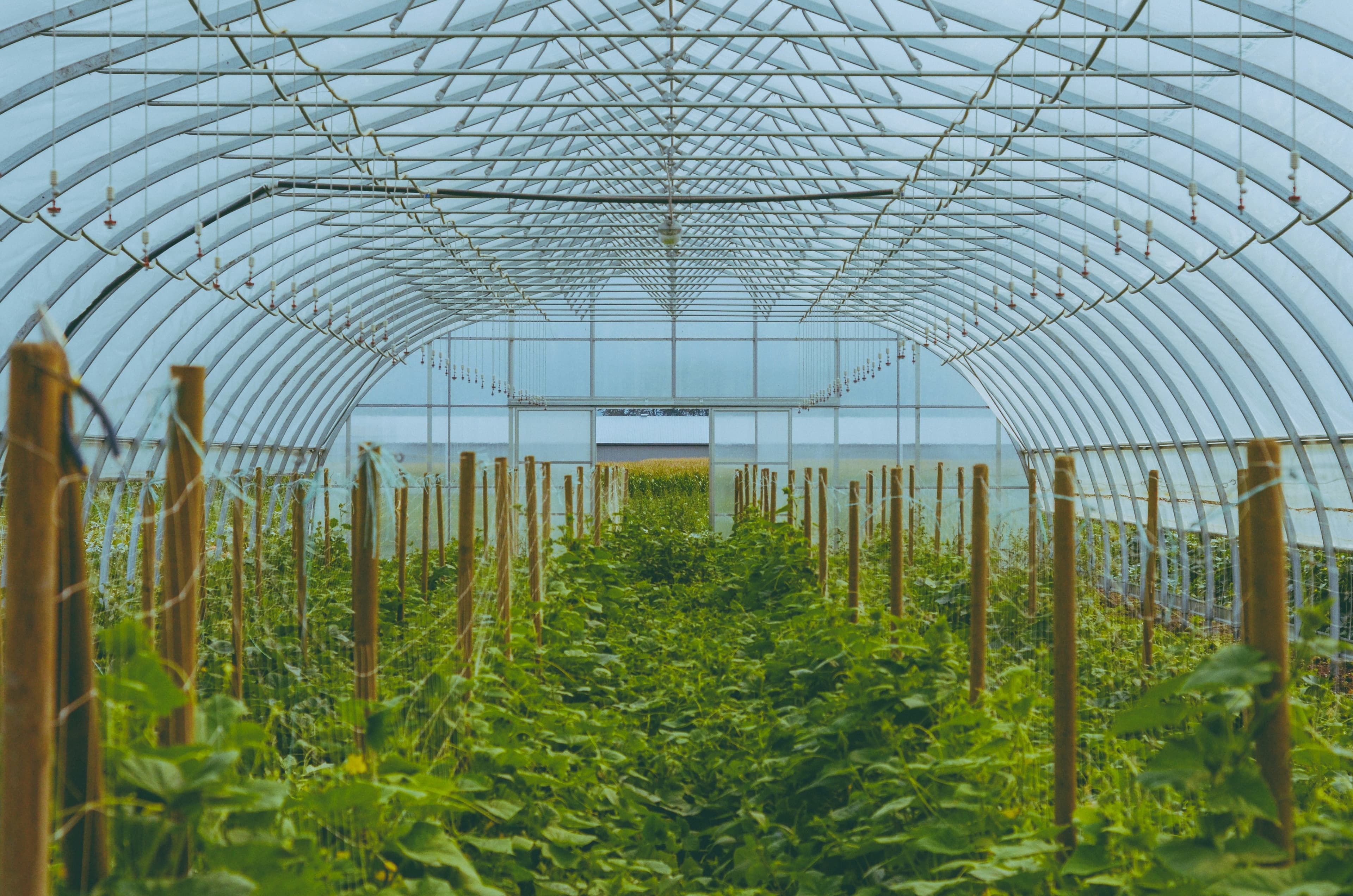 Polyhouse Shade Net